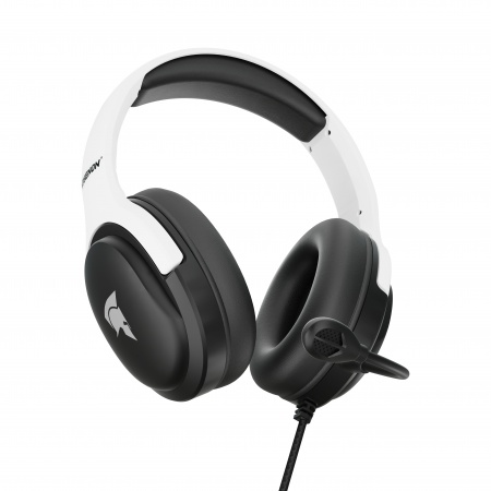 Casque Gamer AG-H200P